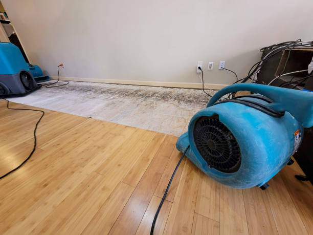 Professional Flood Damage Cleanup technician working in New Caney, TX